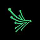 Black Kite AI Agent logo