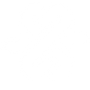 Reliance Cyber RADAR logo